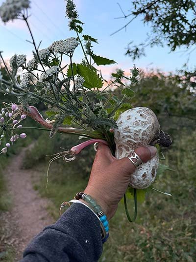 Mushroom being held in hand